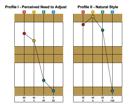 Sample Extended DISC report showing natural and adapted behavioural style
